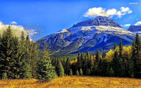 Rocky Mountains And Autumn Forest Wallpapers Desktop Background