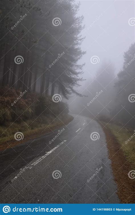 Foggy Forest Road Stock Image Image Of Roads Scene 144198803