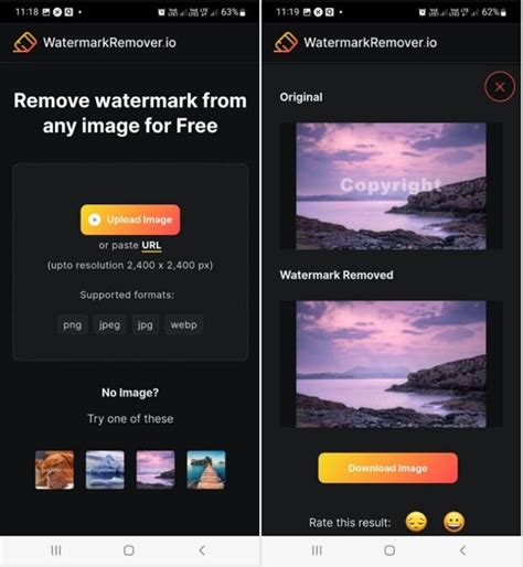 Best Ai Watermark Remover Remove Watermark From Video And Image My