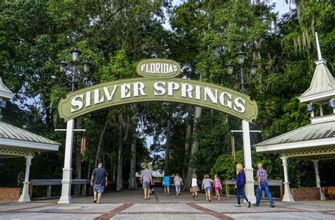 Monkeys Of Silver Springs State Park Predicted To Double Their Population