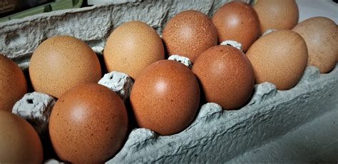 Brown Eggs 1 Dozen Pastured Gmo Free Market Wagon Online Farmers Markets And Local Food