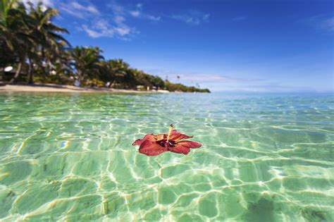 Choose Your Island In Fiji Gogo Vacations Blog