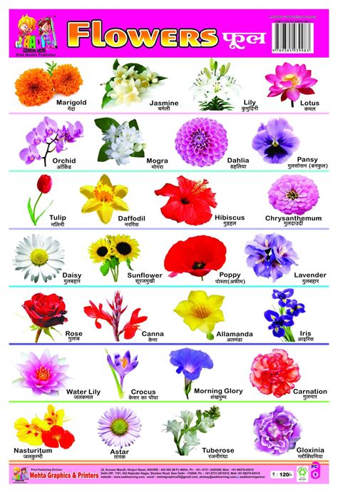 Flowers Name In Hindi And English Flowers Name In Hindi Flower Names