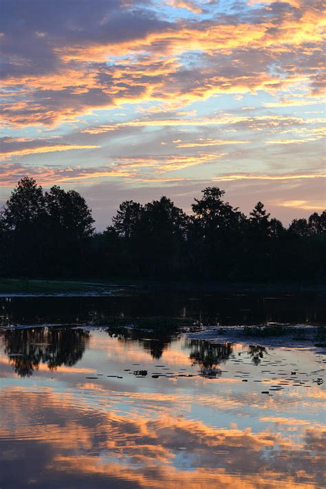 August 1st 2016 Sunrise Over Alligator Lake Photograph By Roy Erickson