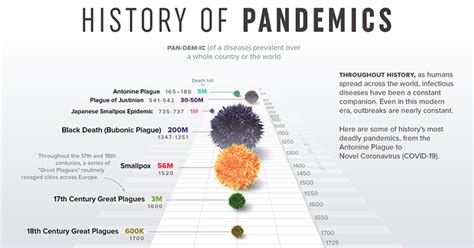 A Visual Timeline Of Pandemics Throughout History Infographic
