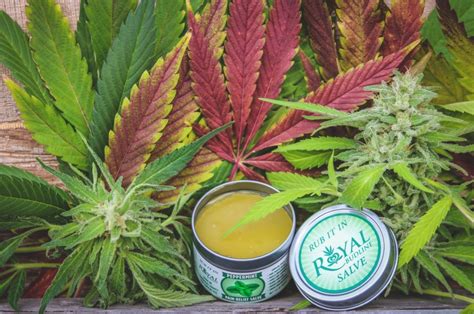 Getting the Royal Treatment - Cannabis News and Culture Magazine - The ...
