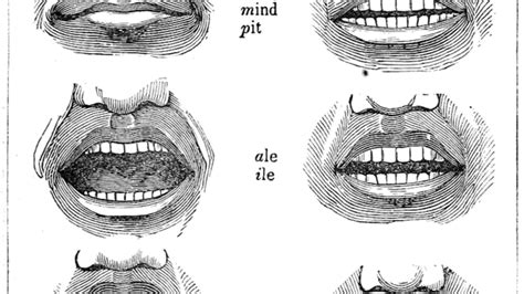Learn Proper Diction With These 19th Century Mouth Diagrams Mental Floss