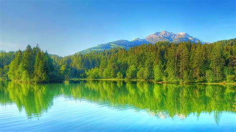 Peaceful Wallpapers Hd Hd Green Reflection In The Peaceful Lake