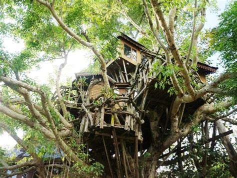 Pai Treehouse Resort In Thailand Room Deals Photos And Reviews