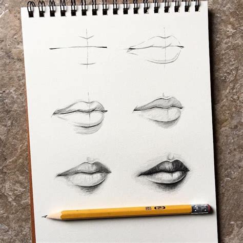 Artist Shares Drawing Tips In Educational Step By Step Tutorials Basic Drawing Guided Drawing