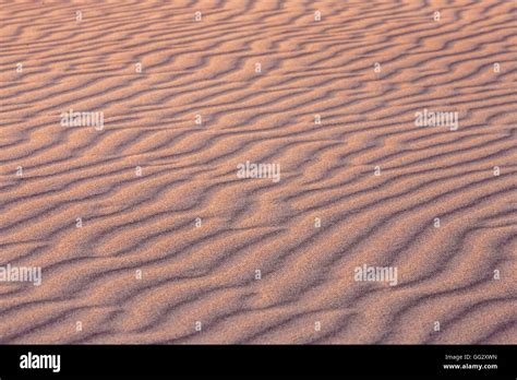 Lines In The Sand Stock Photo Alamy