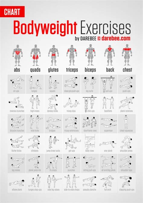 list of bodyweight exercises [infographic]