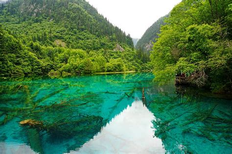 Nature Photography Blue Water Mountains Green Trees Sichuan