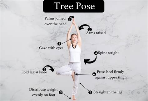 Vrikshasana Tree Pose Steps Beginners Tip And Benefits Fitsri Yoga