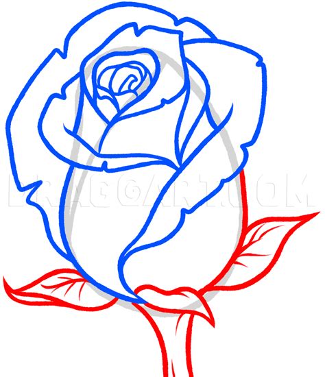 How To Draw A Rose Bud Rose Bud Step By Step Drawing Guide By Dawn