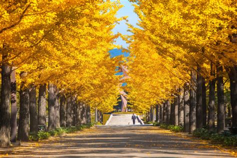 10 Gorgeous Autumn Foliage Spots In And Near Tokyo Savvy Tokyo
