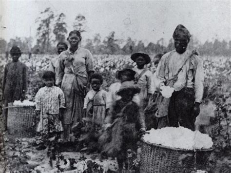 Startling Things About Sex Farms During Slavery That You May Not Know