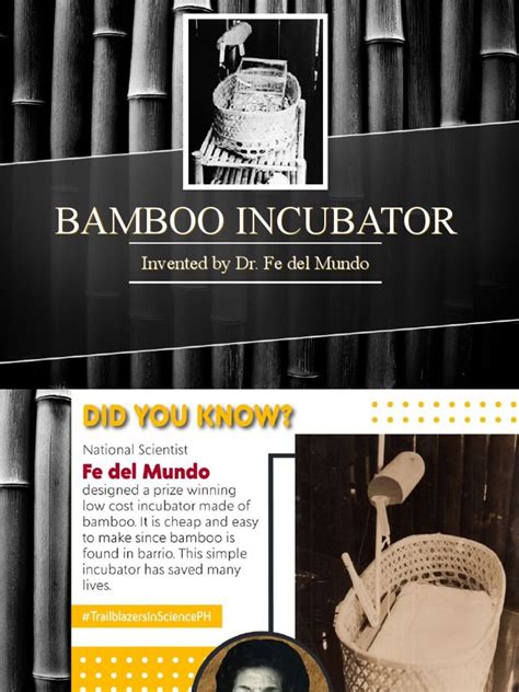 Dr Fe Del Mundos Innovative Bamboo Incubator Bringing Affordable