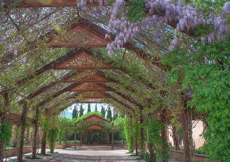 An Outdoor Covered Walkway With Trees And Flowers