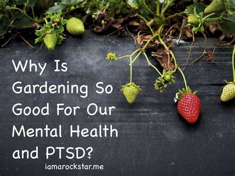 Why Is Gardening So Good For Our Mental Health And Ptsd I Am A Rockstar
