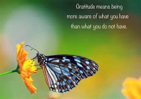 Butterfly Blessing Blessed Abundance Meaning Gratitude