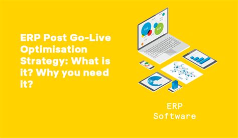 Erp Post Go Live Optimisation Strategy What Is It Why You Need It
