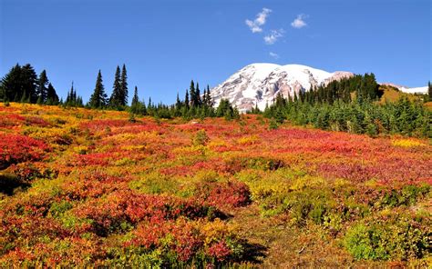 The Best National Parks To See Fall Foliage Travel Leisure