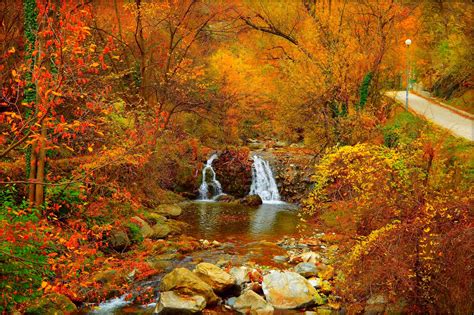 Colorful Earth Fall Foliage Forest Waterfall Wallpaper