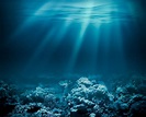Deep sea life may disappear before we even understand it • Earth.com