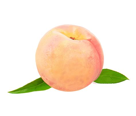 Aesthetic Peach Png Peach Png Image And Peach Png Clipart Png Images