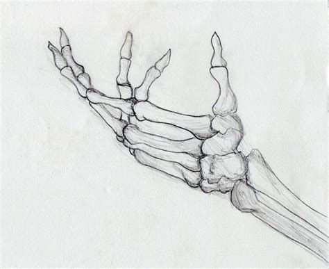 𝖕𝖎𝖓𝖙𝖊𝖗𝖊𝖘𝖙 𝖆𝖇𝖎𝖌𝖆𝖎𝖑𝖒𝖒𝖔𝖔𝖉𝖞 Skeleton Drawings Skeleton Hands Drawing