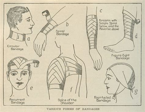 Various Forms Of Bandages Bandage Graphic Imagery