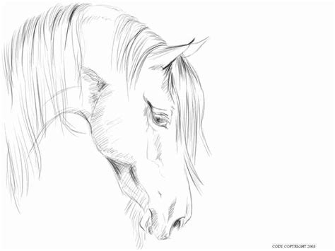 Horse Head Coloring Pages To Print Sketch Coloring Page
