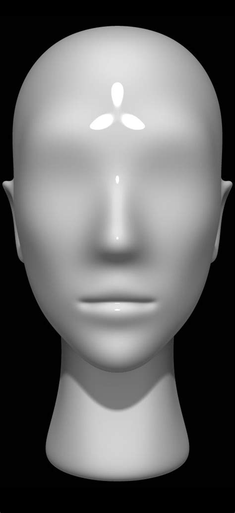 In stage three of the dummy decoration too.all objects have textures planes of the head for anatomy study and reference.useful as a reference for drawing, painting or sculpting.the following meshes are… 3D model Mannequin head | 3d model, Model, Mannequin heads