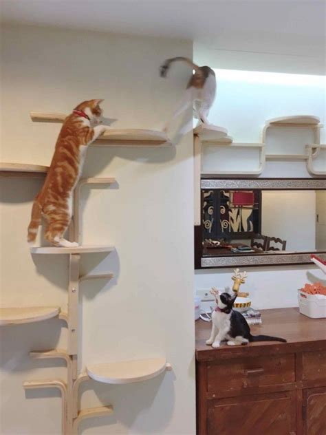 We did not find results for: Cat Tree by IKEA Frosta X | Diy cat tree, Cat wall shelves, Ikea cat
