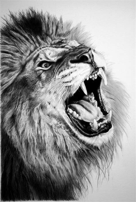 1000 Images About Tigres Y Leones Tattoo On Pinterest Tiger Tattoo