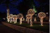 Landscape Lighting Design Photos