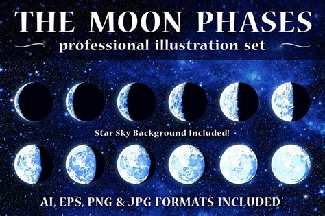 Vector Moon Phases Illustrations Moon Phase Illustration Astronomy