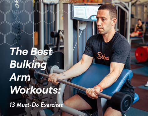 The Best Bulking Arm Workouts Must Do Exercises Fitbod