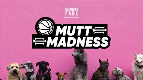 Mutt Madness Washington Park