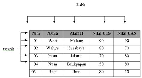 Achmat Wahyudin Pengertian Database Table Field Tipe Tipe Data
