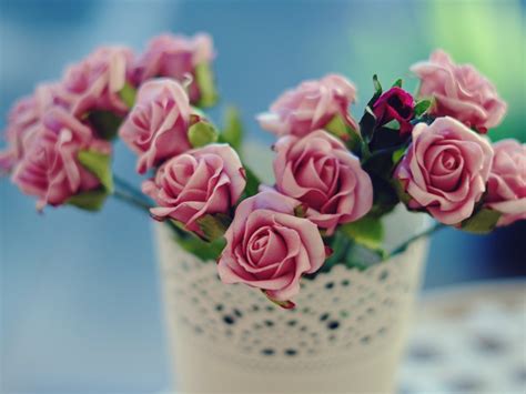 Wallpaper Pink Roses Flowers Petals Vase Bokeh 1920x1200 Hd Picture
