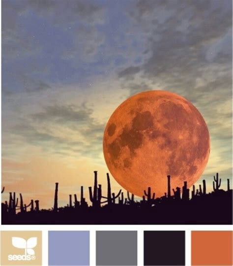 Desert Sunset Color Scheme Maybe Living Room Design