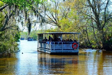 16 Best New Orleans Swamp Tours Tourscanner