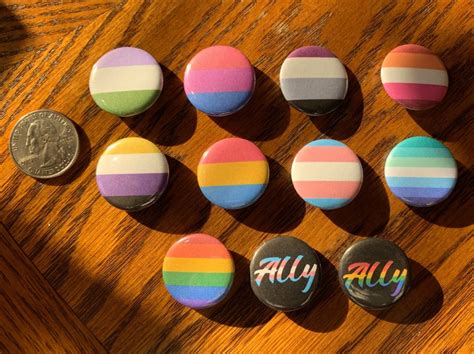 LGBTQ Pride Flag 1 Inch Pins 2 Type Ally Pins Pin Back Etsy