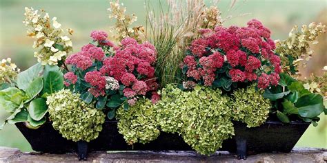 31 Gorgeous Fall Container Garden Ideas To Try Right Now Fall