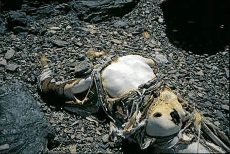 Dead Bodies On Mount Everest Many Perfectly Preserved
