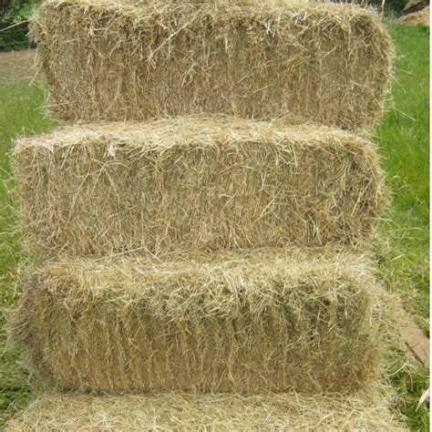 Hay Small Bale Only £550