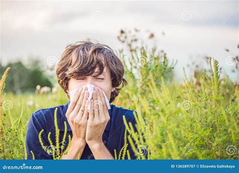 Young Man Sneezes Because Of An Allergy To Ragweed Stock Image Image