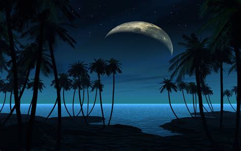 Beach At Night Hd Backgrounds Pixelstalknet